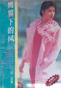 鹰翼下的风(都市童话之二)